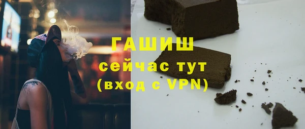 гашик Алексеевка