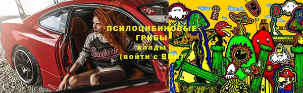 гашик Алексеевка