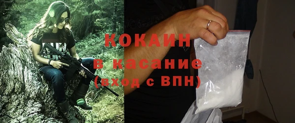 гашик Алексеевка