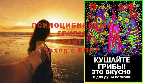 не бодяженный Алексин