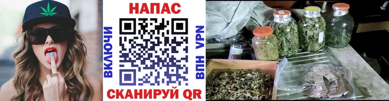 мега ССЫЛКА Апатиты Шишки марихуана марихуана